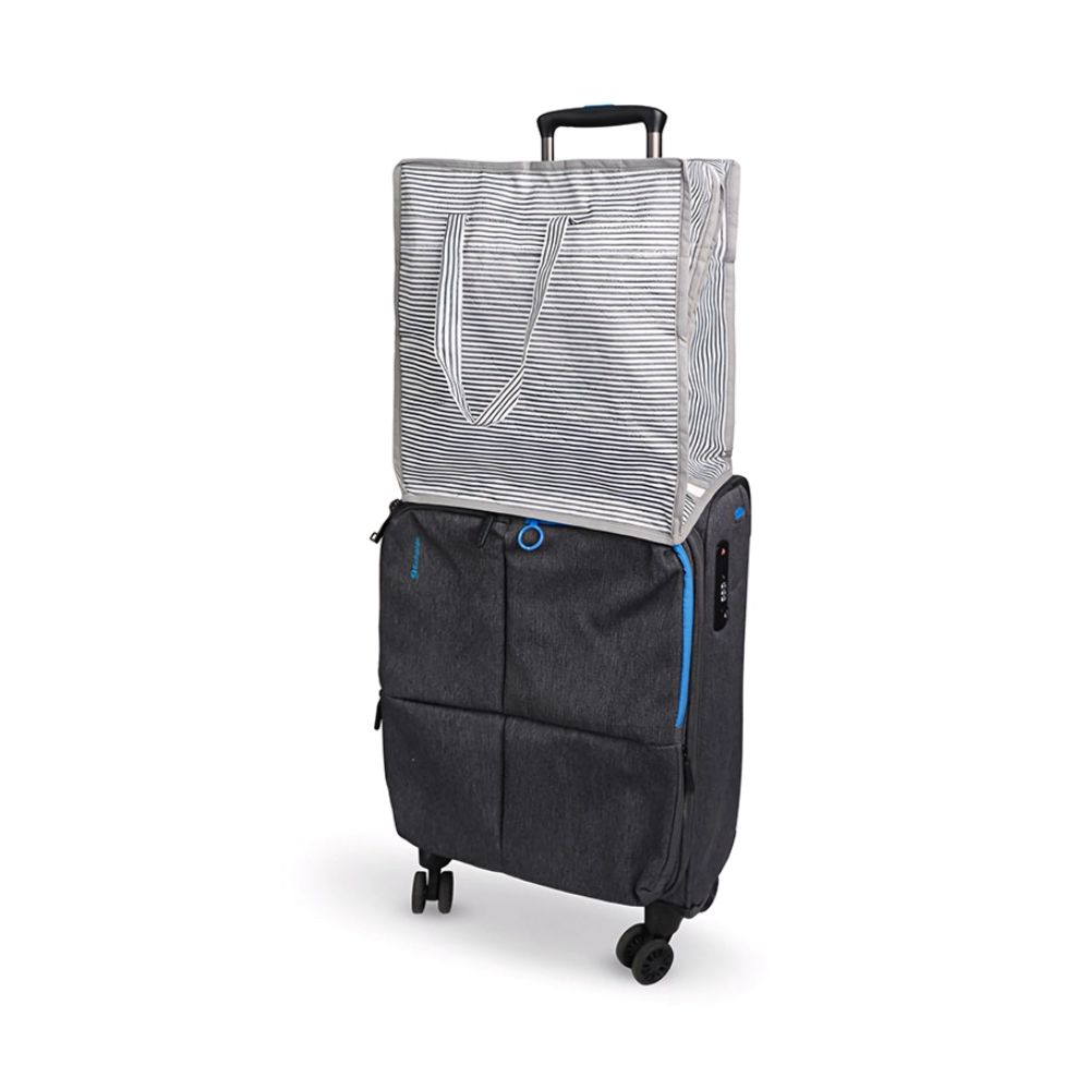 جاکفشی مسافرتی شوتوت